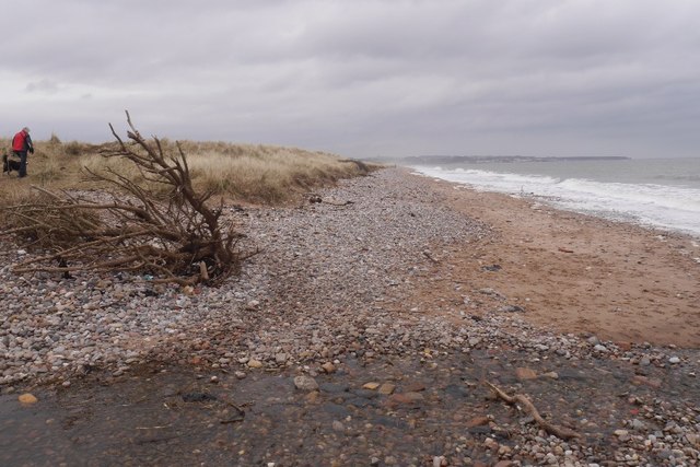 Beach, Arbroath © Richard Webb :: Geograph Britain and Ireland