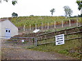 Perch Hill Vineyard