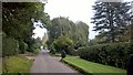 Looking down Bridle Road, Burton Joyce