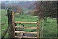 Stile on footpath down to Nant-y-draenog Reservoir