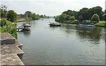 TQ1568 : Downstream from Hampton Court Bridge by Derek Harper