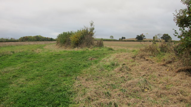 Footpath and field edge boundary