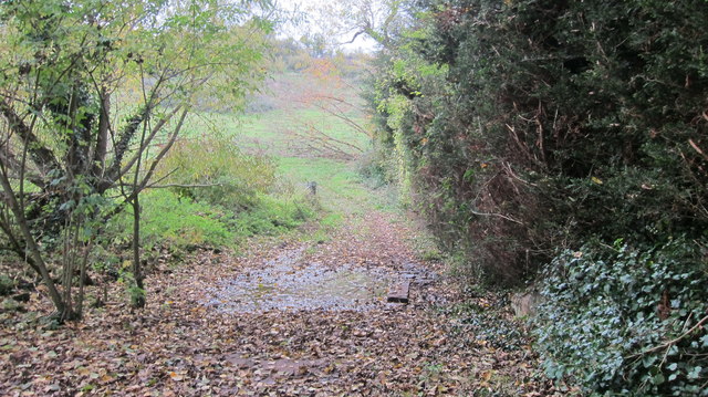 The Bathford Brook close to its source in Marksbury