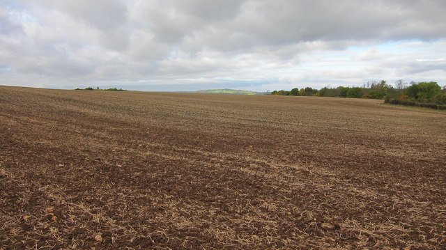 A freshly ploughed and planted hilltop field