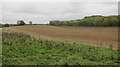 Recently ploughed field with wild life corridor left adjacent