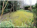 TQ7819 : Moss lawn at Fernlea by Patrick Roper