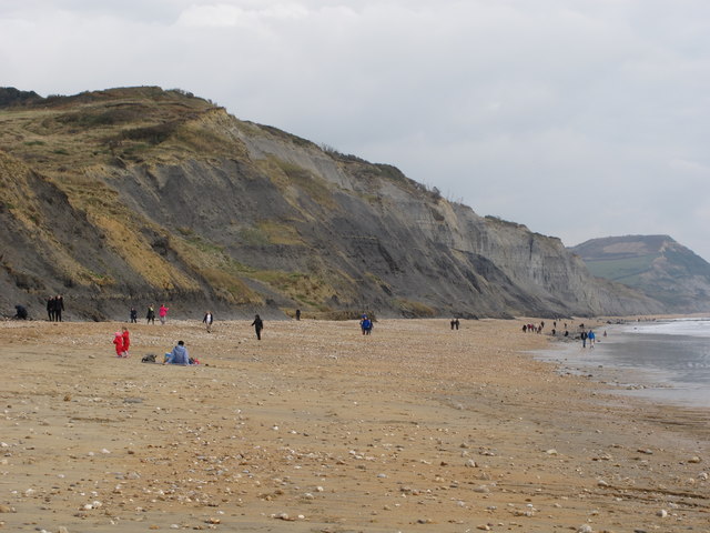 Charmouth beach with fossil hunters