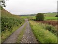 Track to road from Craignaught Farm