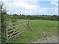 Field entrance near Methers Collyn