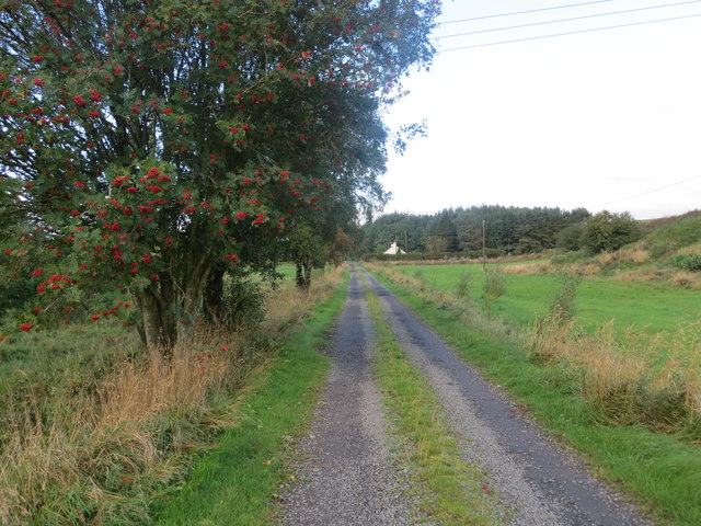 Track from Meikle Creoch farm to Mote Knowe and road