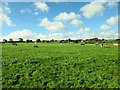 Unmarked Bridleway to Croft House Farm