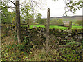 Stone stile, Green Lane, Halton East 