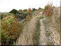 Path alongside Stony Lane