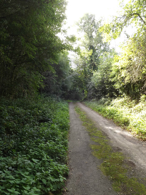 Brick Kiln Lane, Kerdiston © Adrian Cable :: Geograph Britain and Ireland