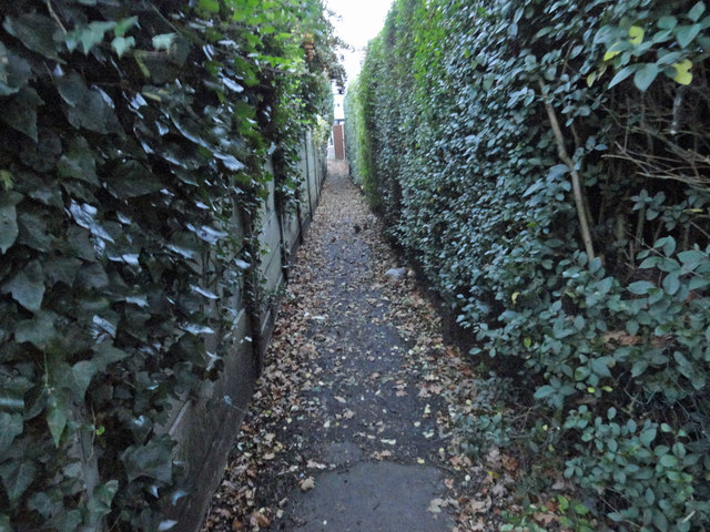 Footpath 138 leading to Hillview Avenue