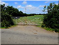 Field gates in the east of Frocester