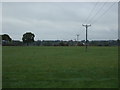 Grazing near Woodville Farm