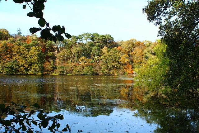 Swan Pond, Culzean