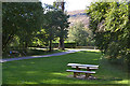 Picnic area, Braemore Wood