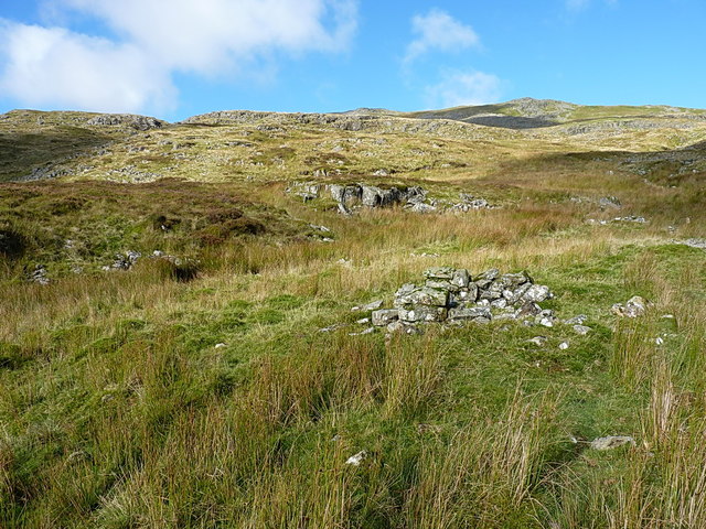 Hillside above the Pistyll Gwyn