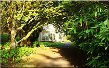 NS2310 : Approaching the Camellia House, Culzean by Billy McCrorie