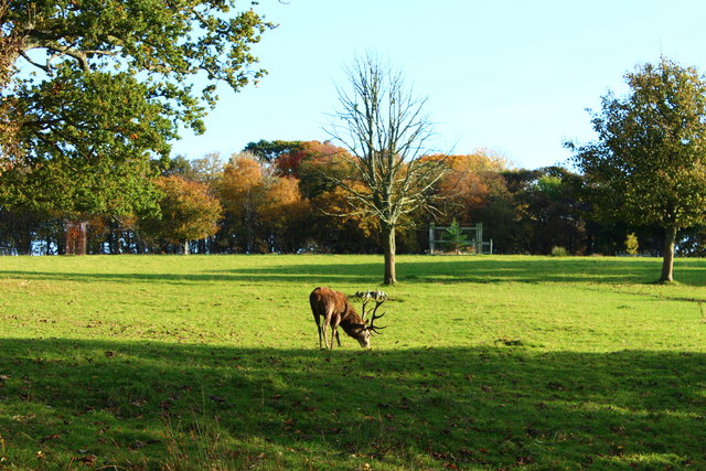 Deer Park, Culzean