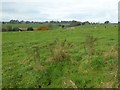 Farmland near Symonds