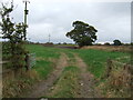 Field entrance off Holmes Chapel Road (A54)