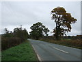 Holmes Chapel Road (A50) near Road Side Farm