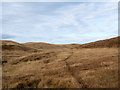 NR3976 : Deer trod in Gleann nam Mèirleach by Trevor Littlewood