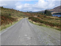 NX4794 : Loch Doon and Carrick Forest Drive near the southern end of Loch Doon by Peter Wood