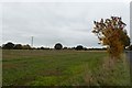 Fields off Long Lane