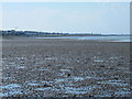 Beach and groynes east of Seasalter (2)