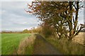 Road, Whiteloch Muir