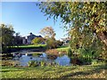 Pond at Bankwood Farm