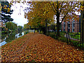 Autumn leaves on the towpath