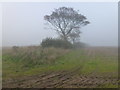 TF8143 : Sea mist rolling in near Burnham Deepdale by Richard Humphrey