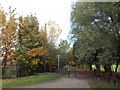 Cycle and pedestrian path near South Hylton