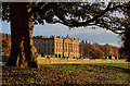 SK2570 : Chatsworth House in golden autumn sunshine by Andy Stephenson