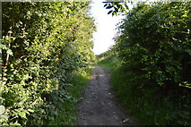 TQ3328 : High Weald Landscape Trail by N Chadwick