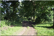 TQ3327 : High Weald Landscape Trail by N Chadwick