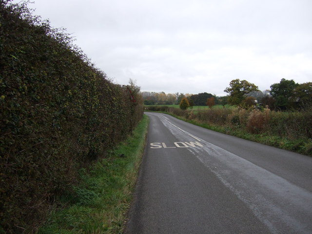 Marthall Lane near Meadowland Farm