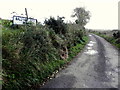 H3990 : Ballymullarty Road, Ballymullarty by Kenneth  Allen