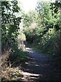 Footpath east of Sherrin