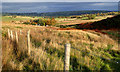 New fence, Potts Gill