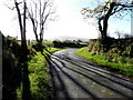 Tree shadows along Lisnafin Road