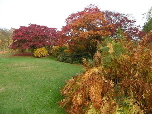 Autumnal colours in the gardens of Burrswood Hospital