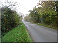 The lane to Minety Common