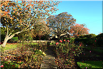 NX1898 : Orchard Gardens, Girvan by Billy McCrorie