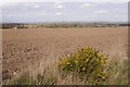 Ploughed field, East Grange of Conon